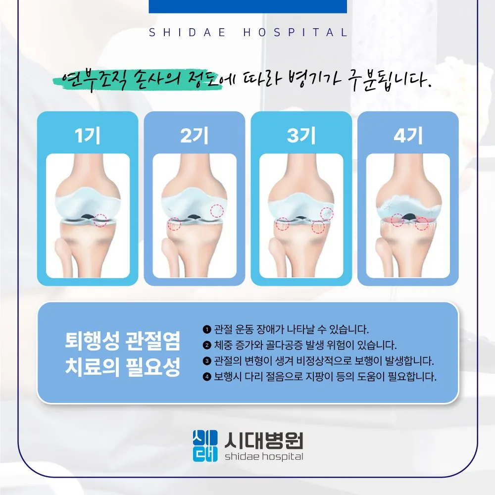 시대병원 무릎 관절 치료 안내
